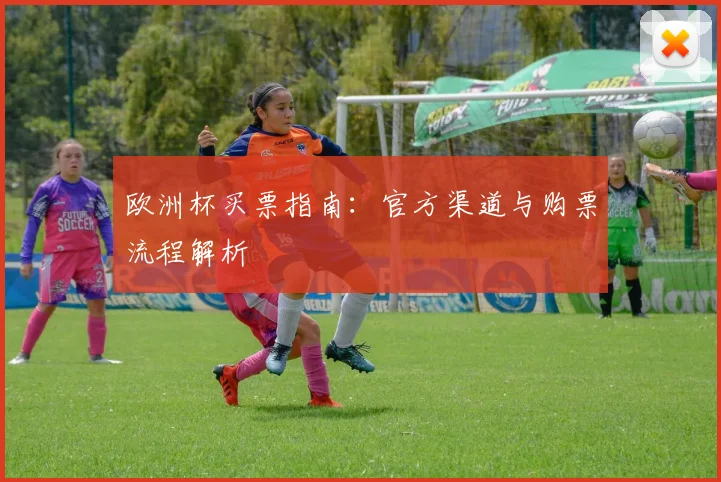 欧洲杯买票指南:官方渠道与购票流程解析